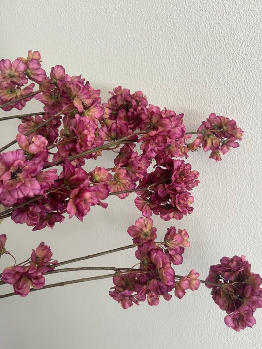 Bloesem Lila pinkish