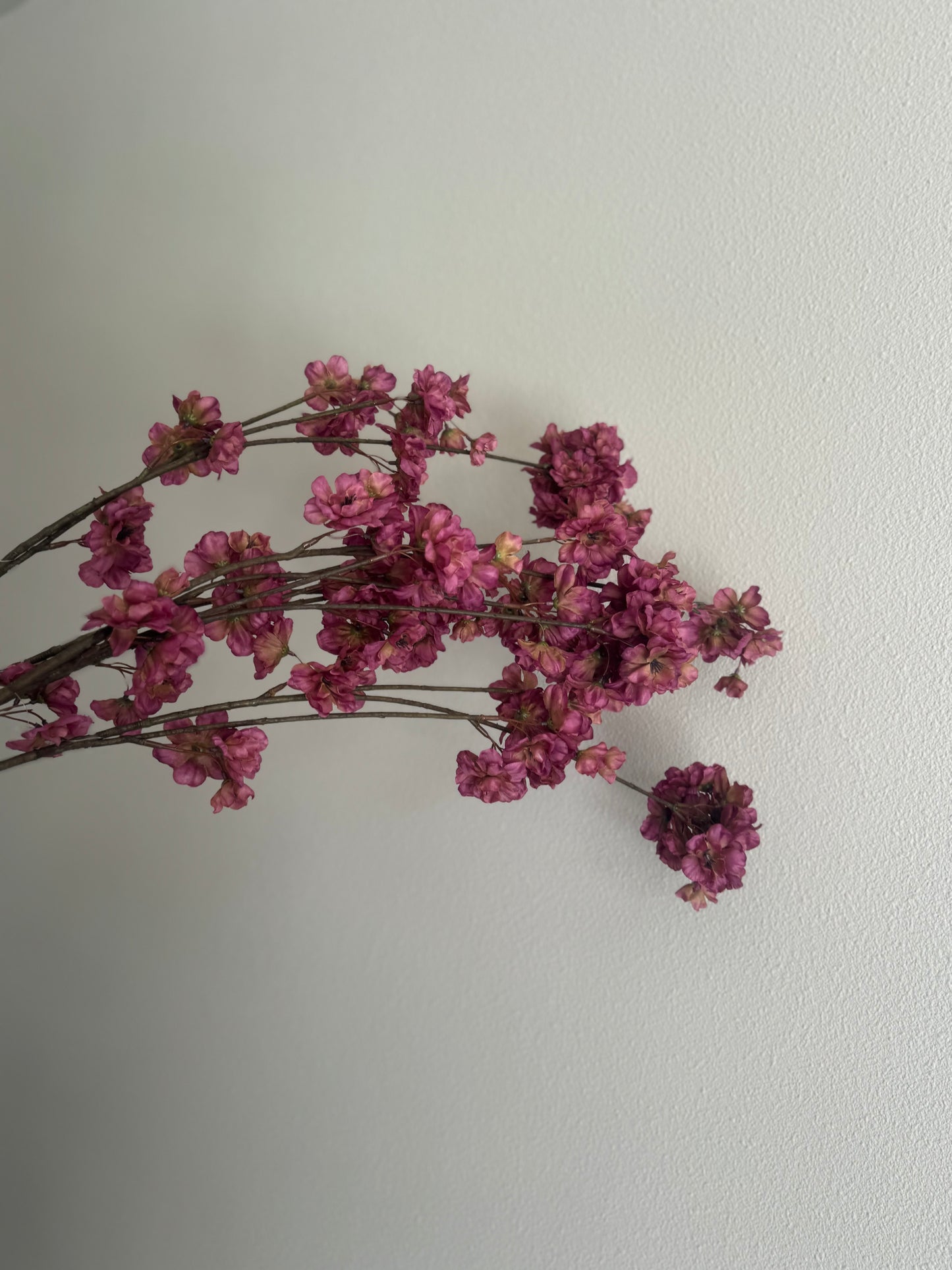 Bloesem Lila pinkish