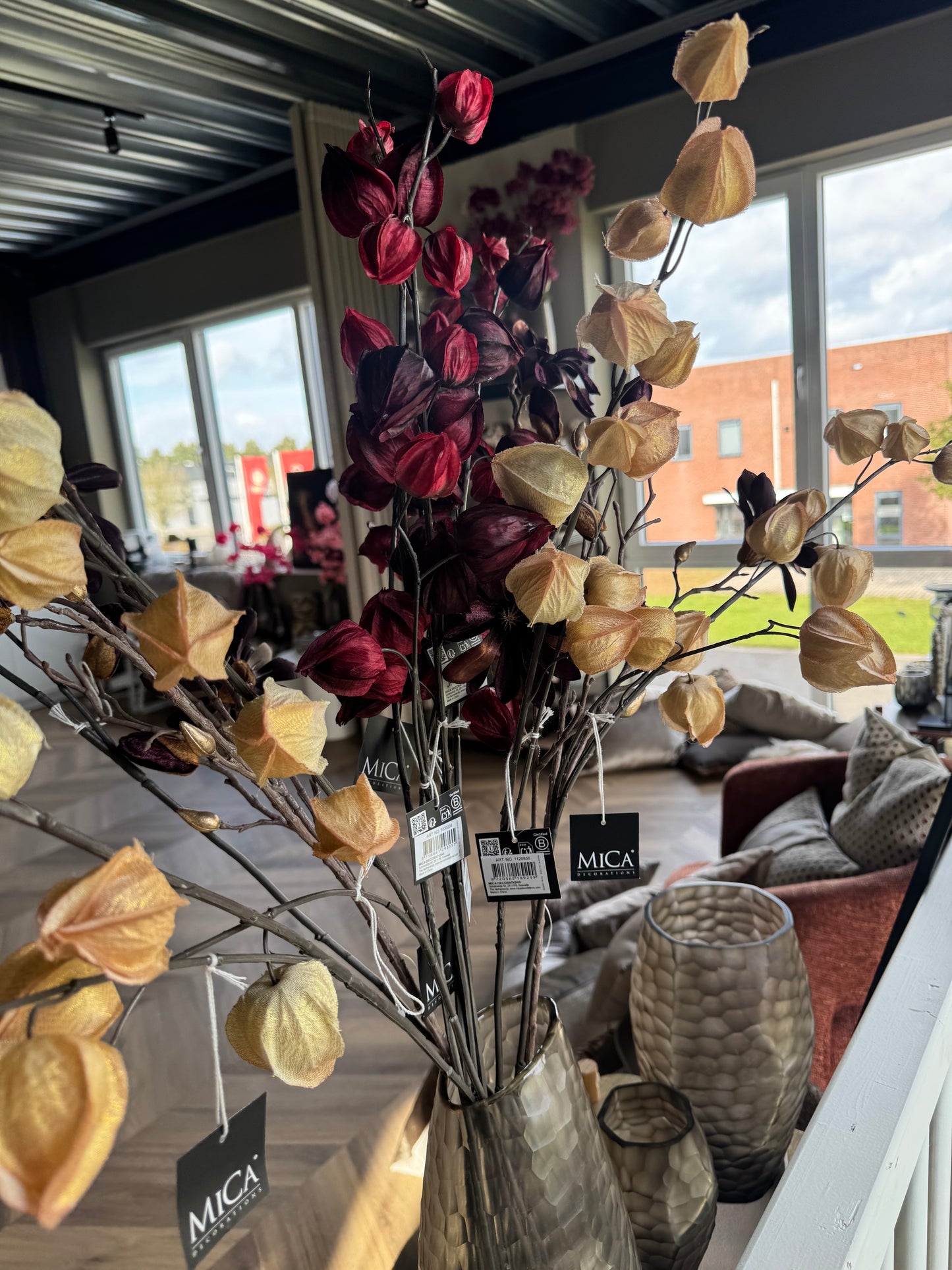 Lampionbloem De Physalis alkekengi Daro Interior