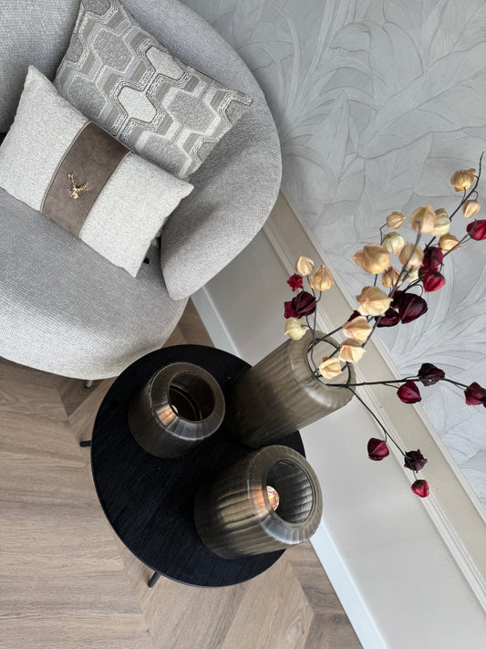 Lampionbloem De Physalis alkekengi Daro Interior