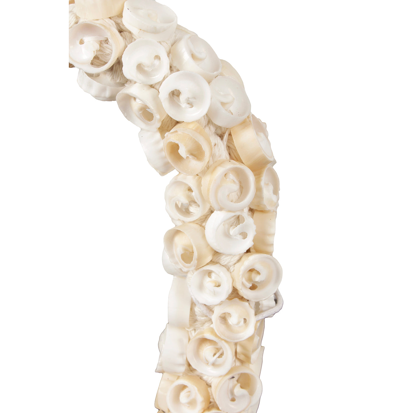 Small Shell Necklace white
