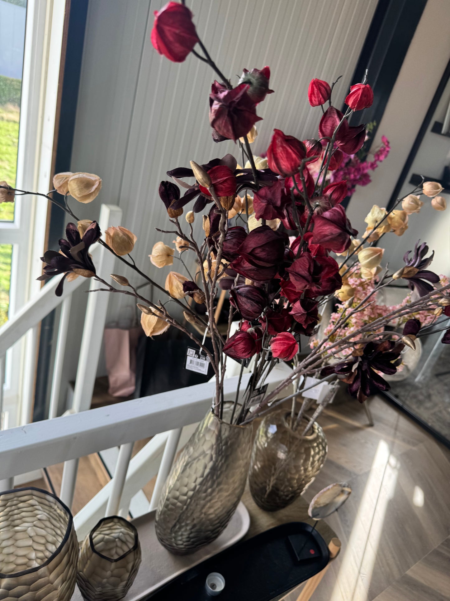 Lampionbloem De Physalis alkekengi  Daro Interior